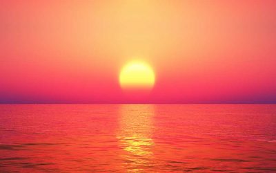 Full Search Sunset